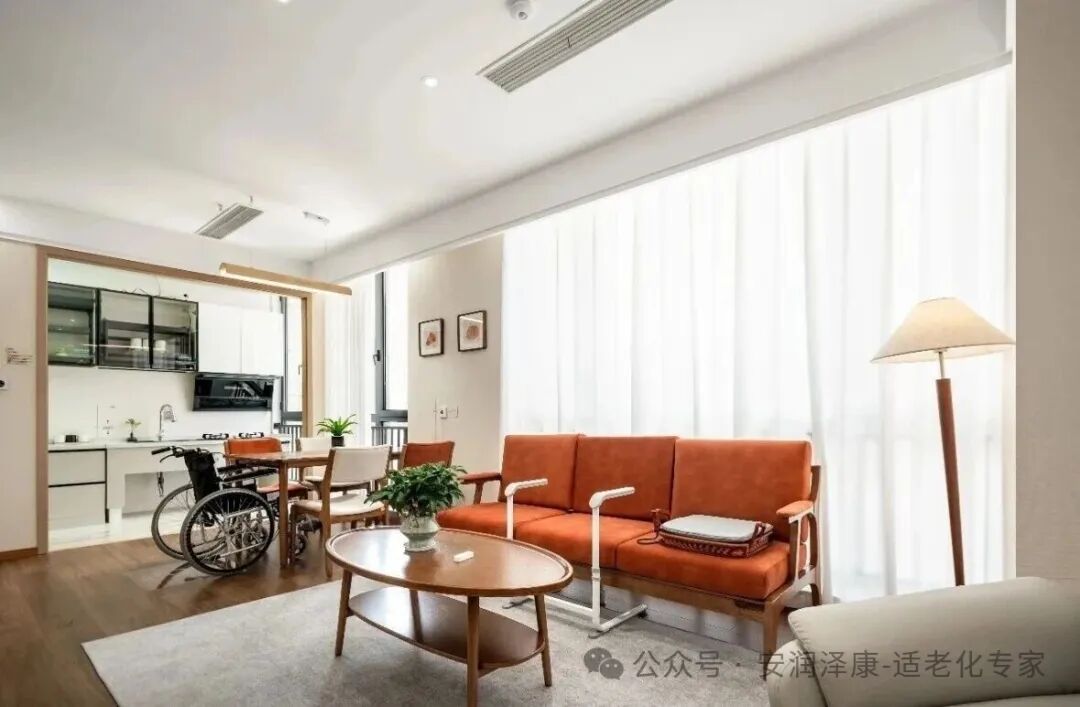 适老化专业服务全景
